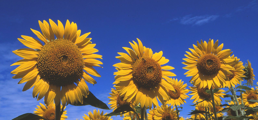 �������k��B�s-���Տ��S���m������