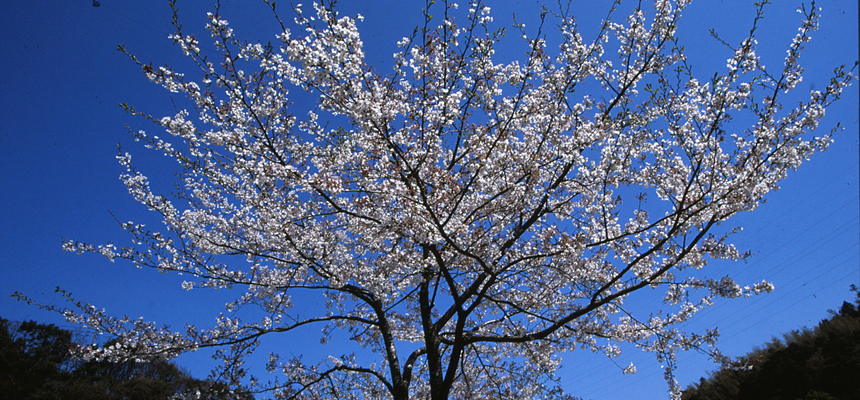 �������k��B�s-���Տ��S���m������